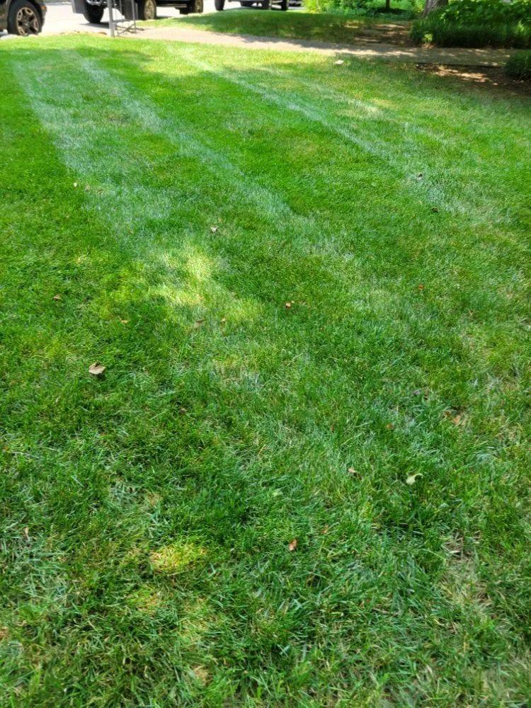 Local landscaping services for beautiful yards in Rineyville, KY by Lux Landscaping