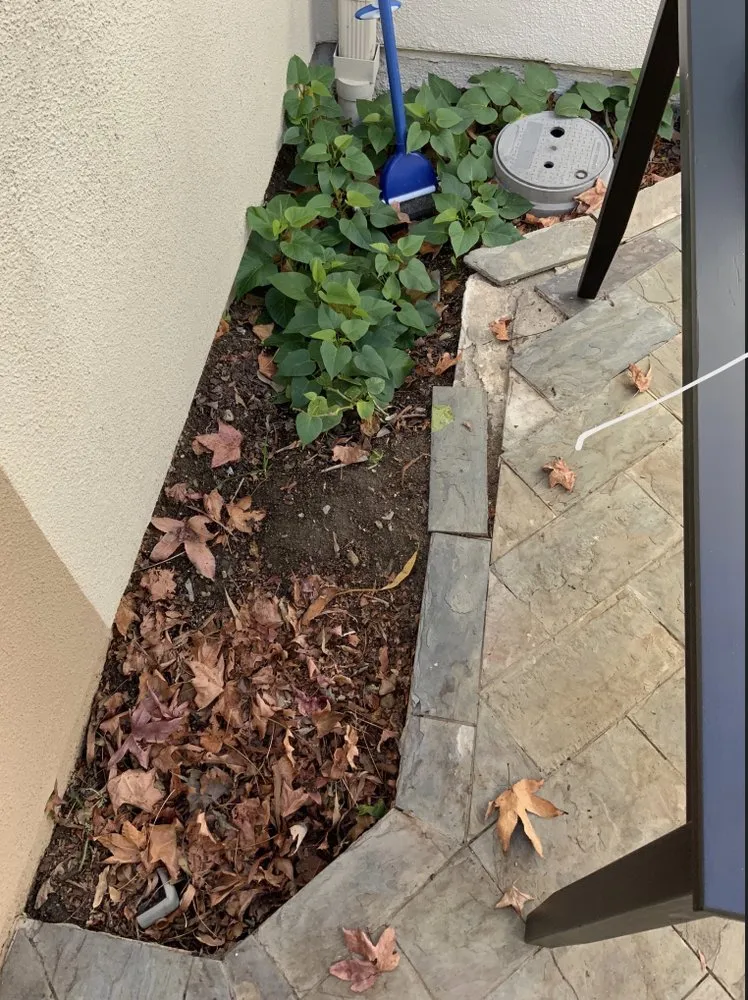 Expert residential landscaping in San Juan Capistrano, CA - Lux Landscaping