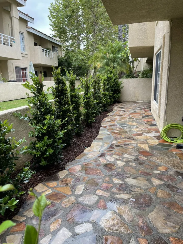 Top-rated outdoor landscaping in San Juan Capistrano, CA - Lux Landscaping