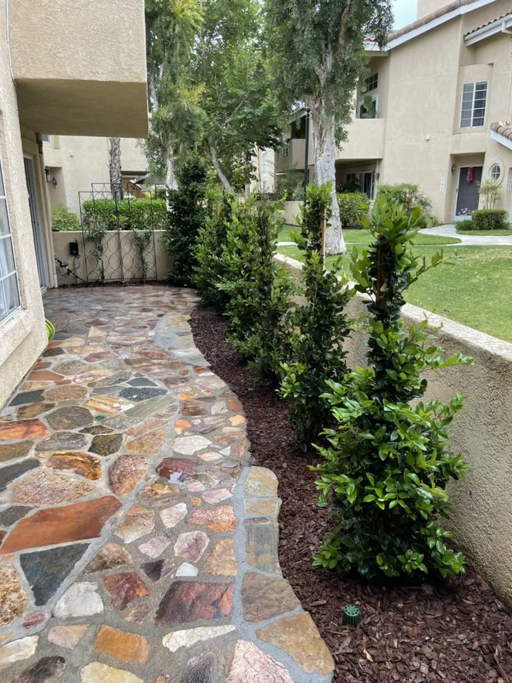 Custom landscaping services near you across San Juan Capistrano, CA - Lux Landscaping