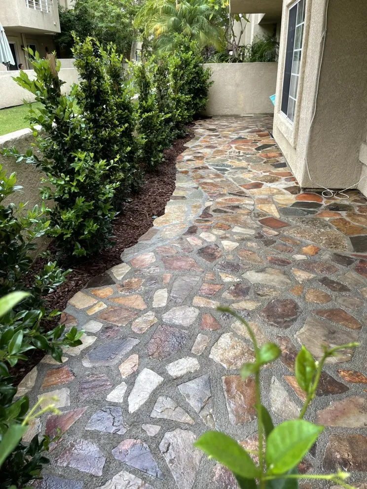 Affordable lawn care service near you across San Juan Capistrano, CA - Lux Landscaping