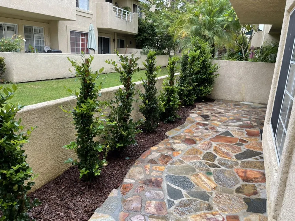 Custom yard maintenance in San Juan Capistrano, CA - Lux Landscaping