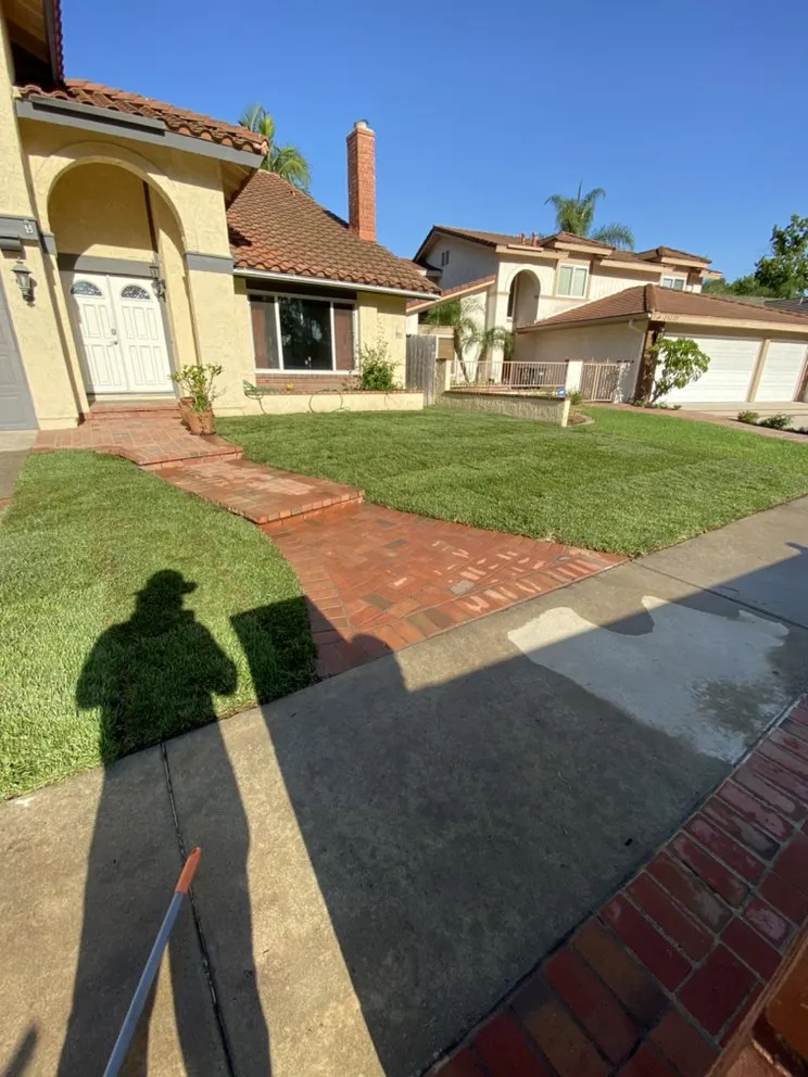 Affordable landscape installation in San Juan Capistrano, CA - Lux Landscaping