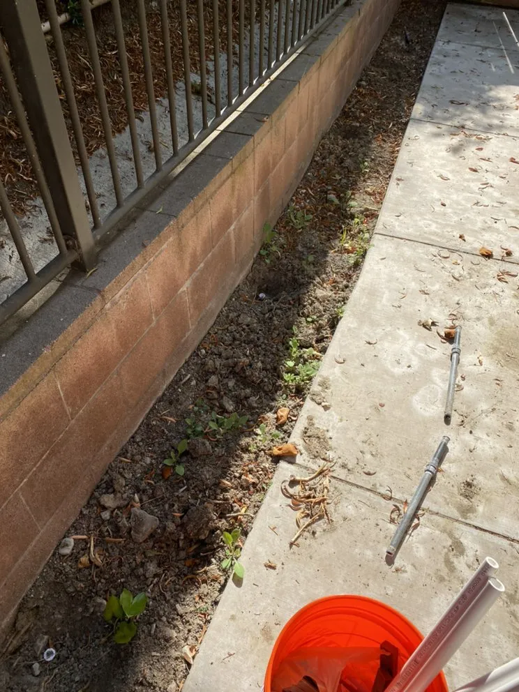 Affordable yard maintenance in San Juan Capistrano, CA by Lux Landscaping