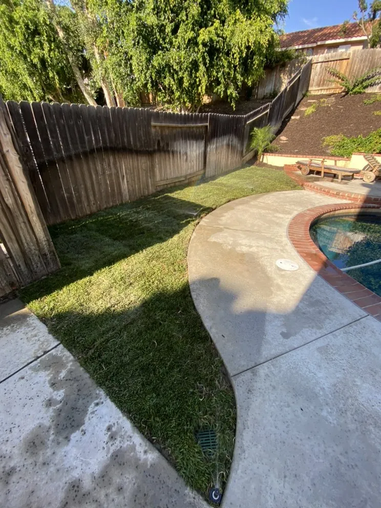 Reliable landscape installation in San Juan Capistrano, CA by Lux Landscaping