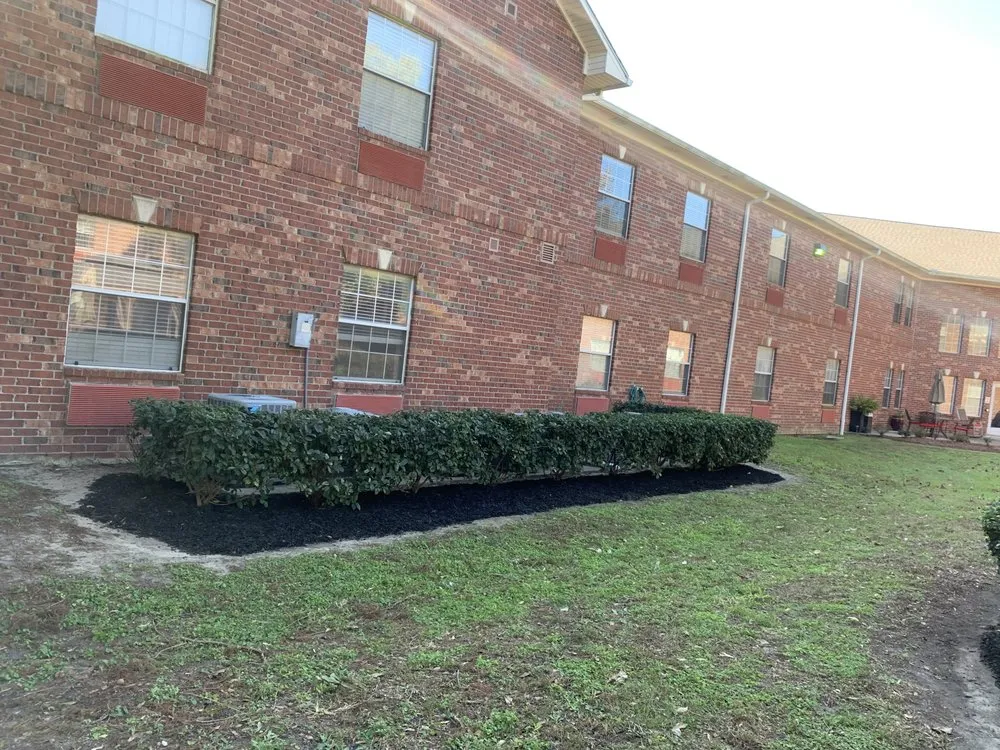 Affordable landscape installation for year-round maintenance across Metairie, LA - Lux Lawn & Landscaping Services