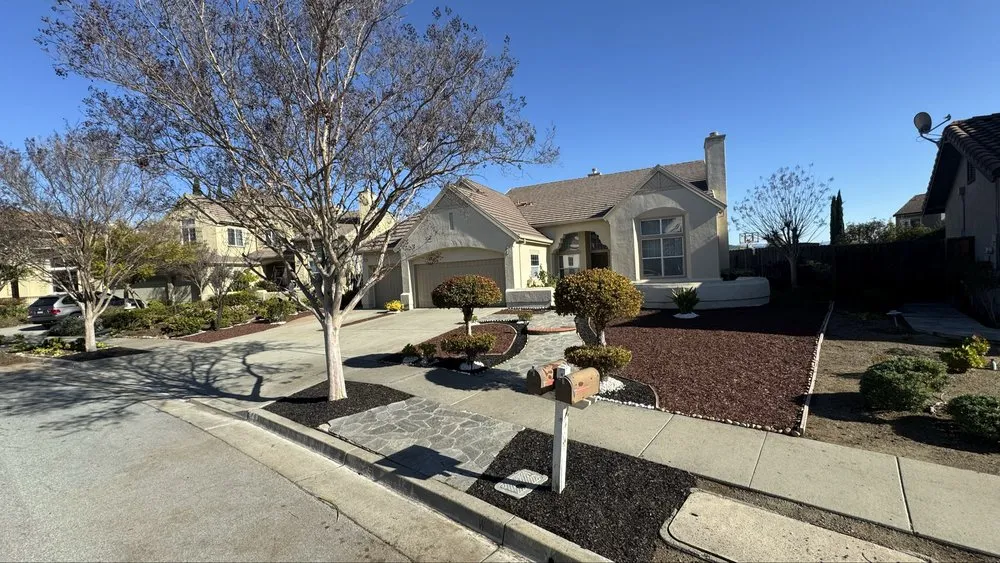 Custom lawn care service in San Jose, CA - Lux Services Bay Area