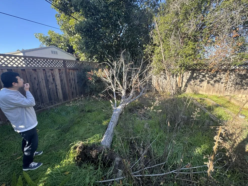 Expert residential landscaping for homes across San Jose, CA - Lux Services Bay Area