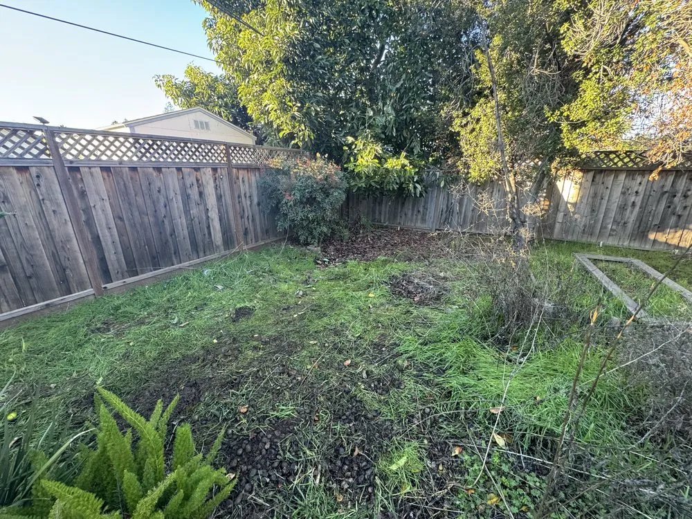 Custom garden landscaping in San Jose, CA by Lux Services Bay Area