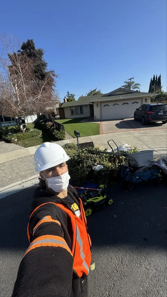 Local yard cleanup service experts serving San Jose, CA - Lux Services Bay Area