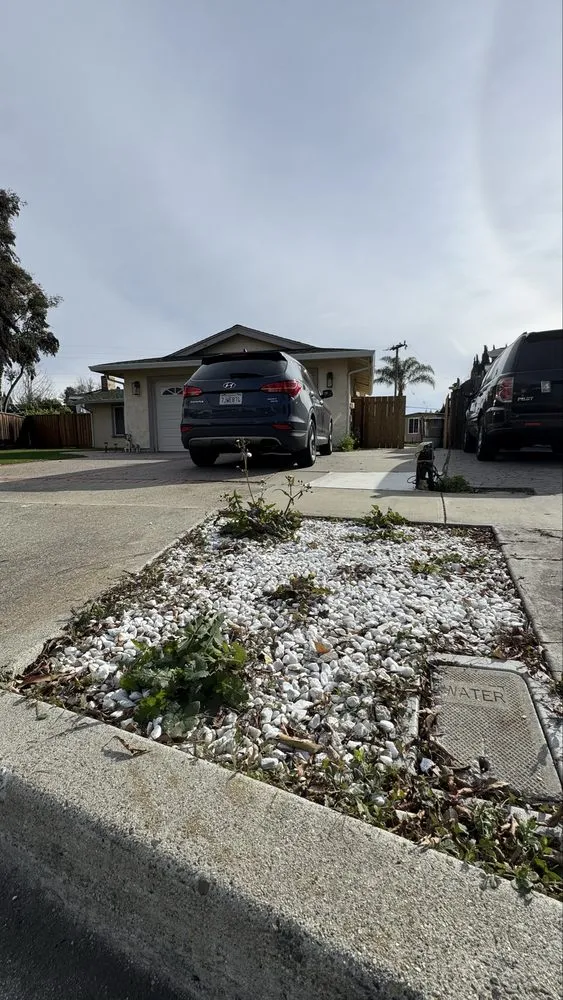 Reliable lawn mowing service experts serving San Jose, CA - Lux Services Bay Area