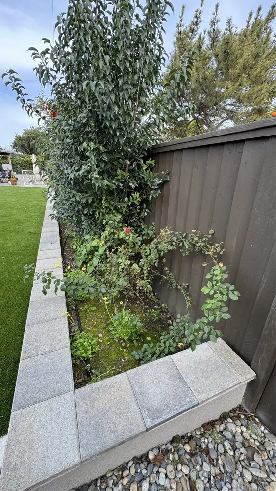Trusted residential landscaping in San Jose, CA - Lux Services Bay Area