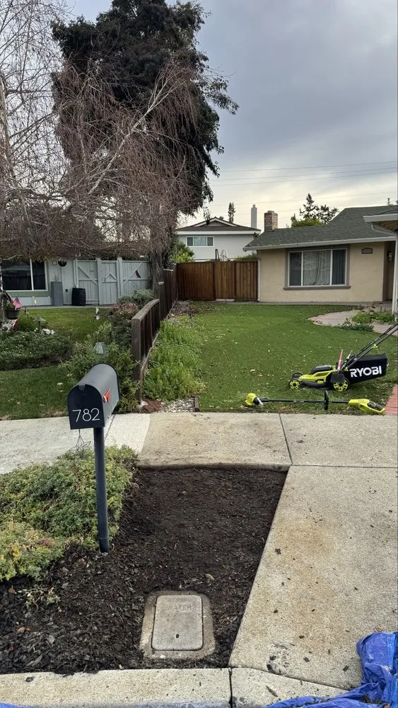 Local landscape design in San Jose, CA by Lux Services Bay Area