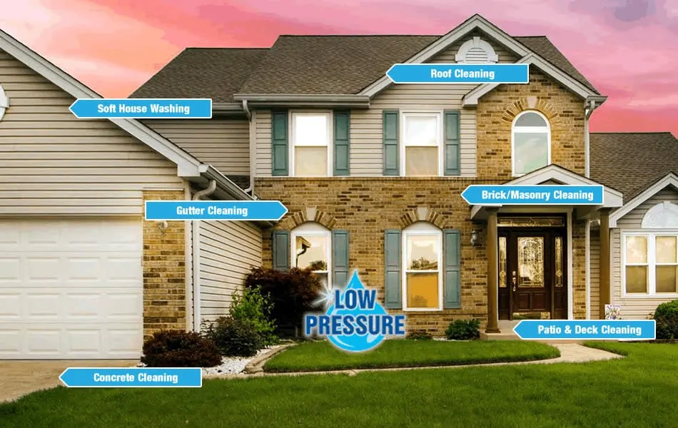 Local landscaping services for beautiful yards in Cary, NC by Lux Services