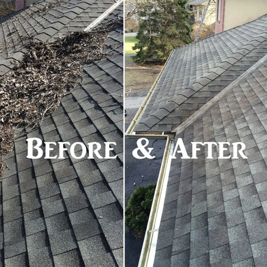 Top-rated landscape design in Cary, NC - Lux Services