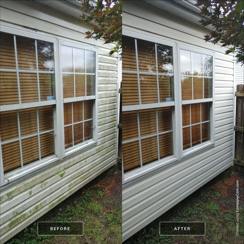 Local yard cleanup service in Cary, NC by Lux Services