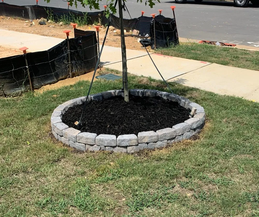 Custom landscape installation in Cary, NC by Lux Services