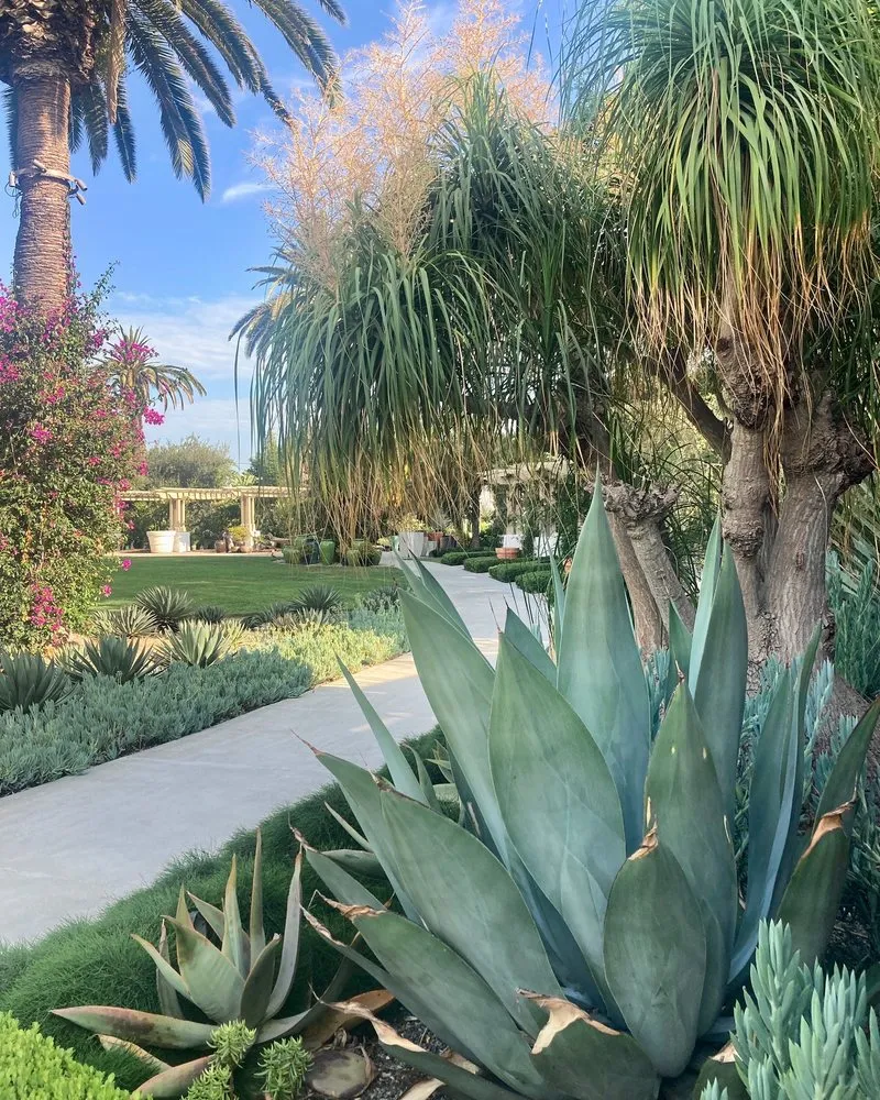 Professional residential landscaping for outdoor upgrades across Huntington Beach, CA - Luxarc Exterior Landscapes