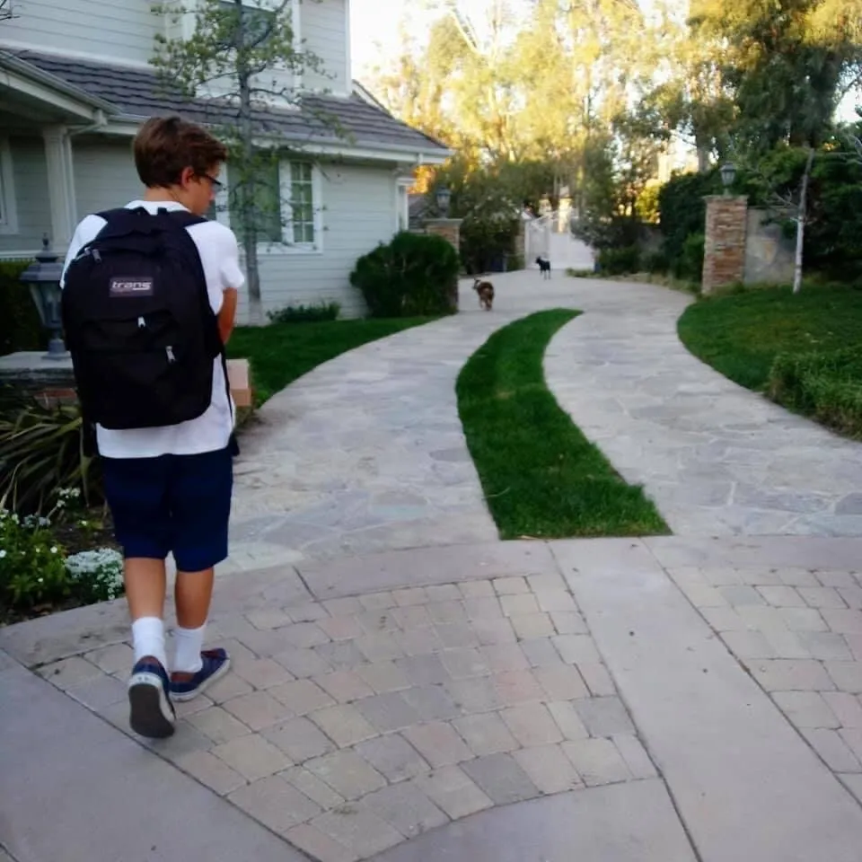 Expert residential landscaping experts serving Huntington Beach, CA - Luxarc Exterior Landscapes
