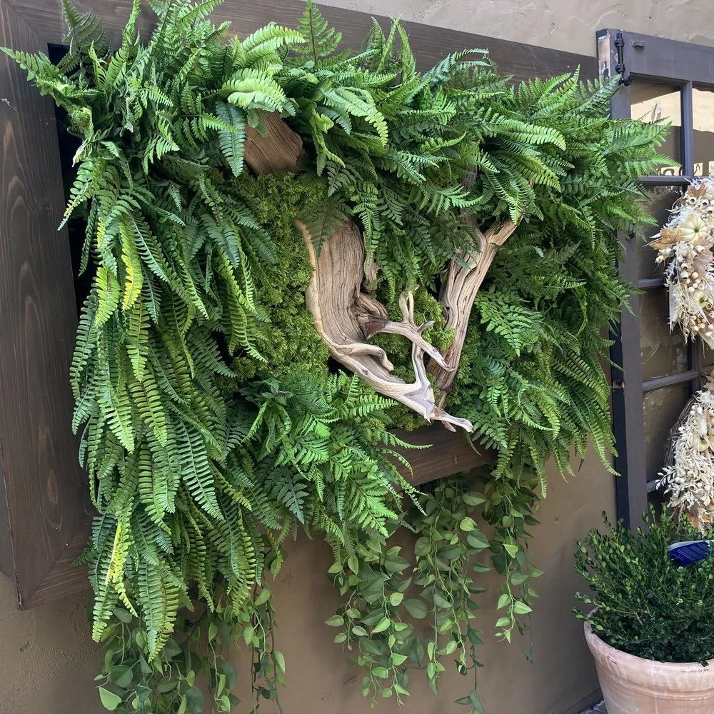 Local lawn care service for residential properties across Huntington Beach, CA - Luxarc Exterior Landscapes