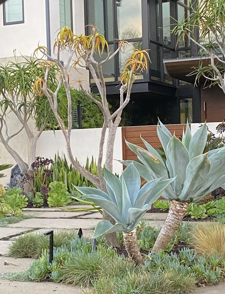 Local residential landscaping with custom design across Huntington Beach, CA - Luxarc Exterior Landscapes