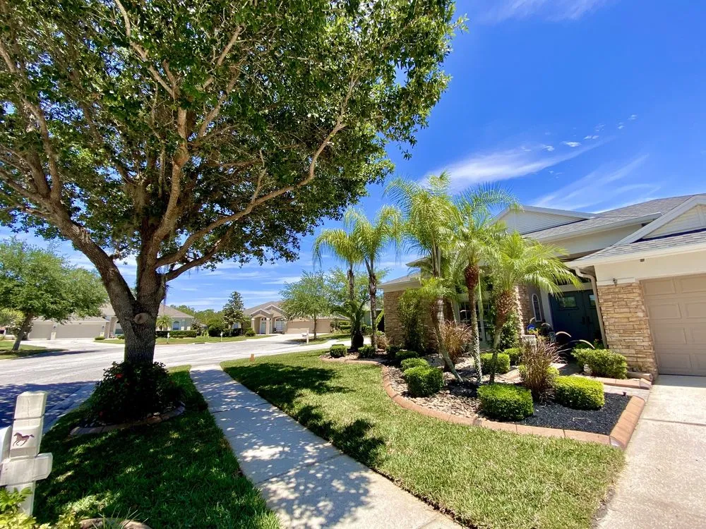 Professional lawn mowing service near you in Crystal River, FL by Luxe Landscapes