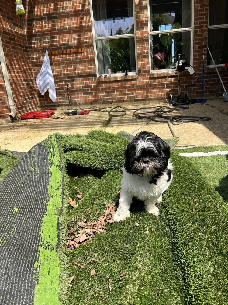 Local yard cleanup service in Dallas, TX by Luxe Landscapes