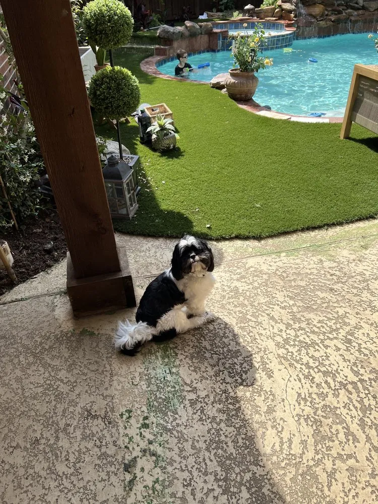 Affordable yard maintenance in Dallas, TX by Luxe Landscapes