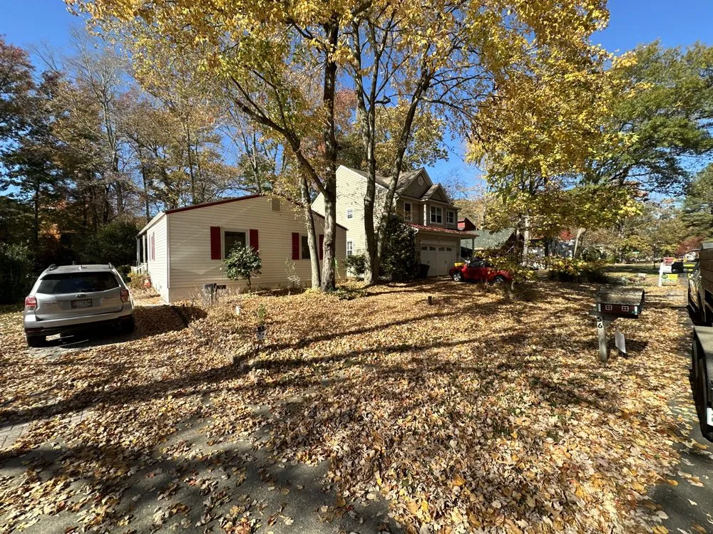 Local yard cleanup service in Harwood, MD by Luxe Landscaping