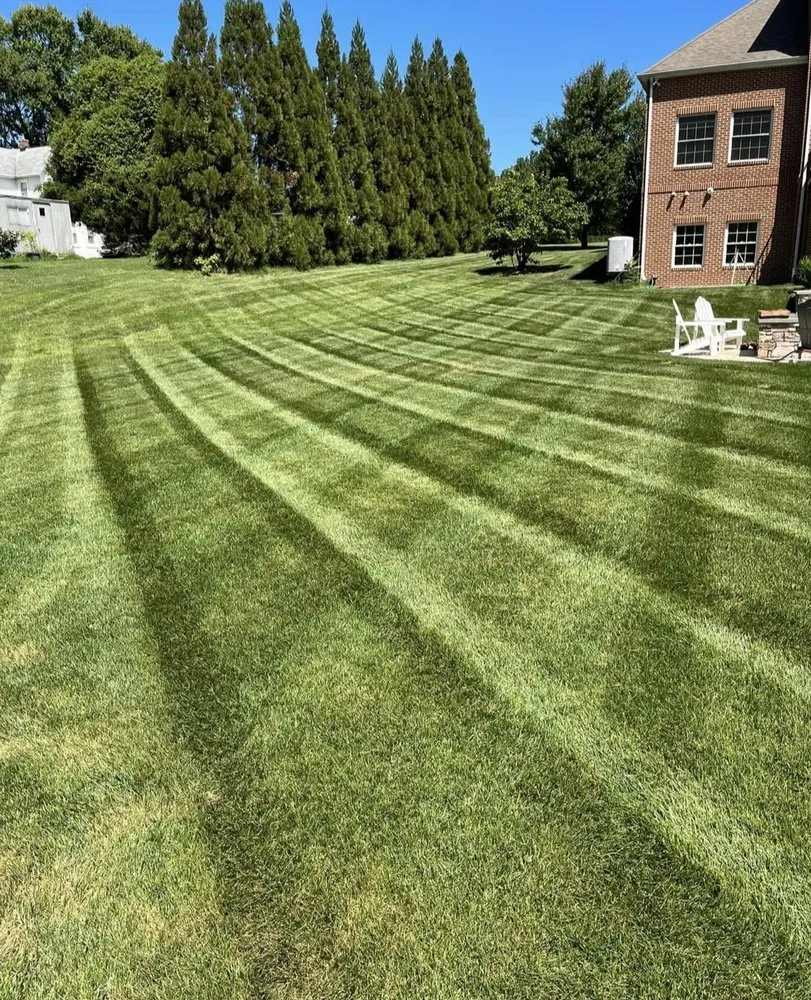 Expert yard cleanup service with custom design in Harwood, MD by Luxe Landscaping