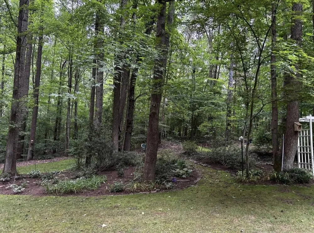 Reliable lawn mowing service with custom design across Harwood, MD - Luxe Landscaping