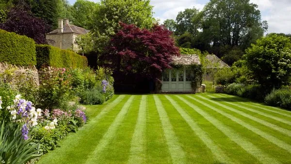 Luxe Lawn Landscaping