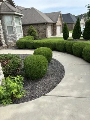 Luxe Lawn Service Logo