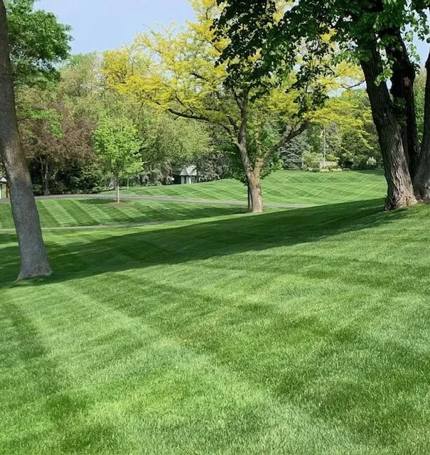 Local residential landscaping in Albertville, MN by Luxe Lawncare