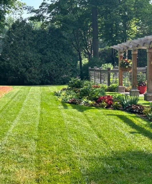 Local outdoor landscaping experts serving Albertville, MN - Luxe Lawncare