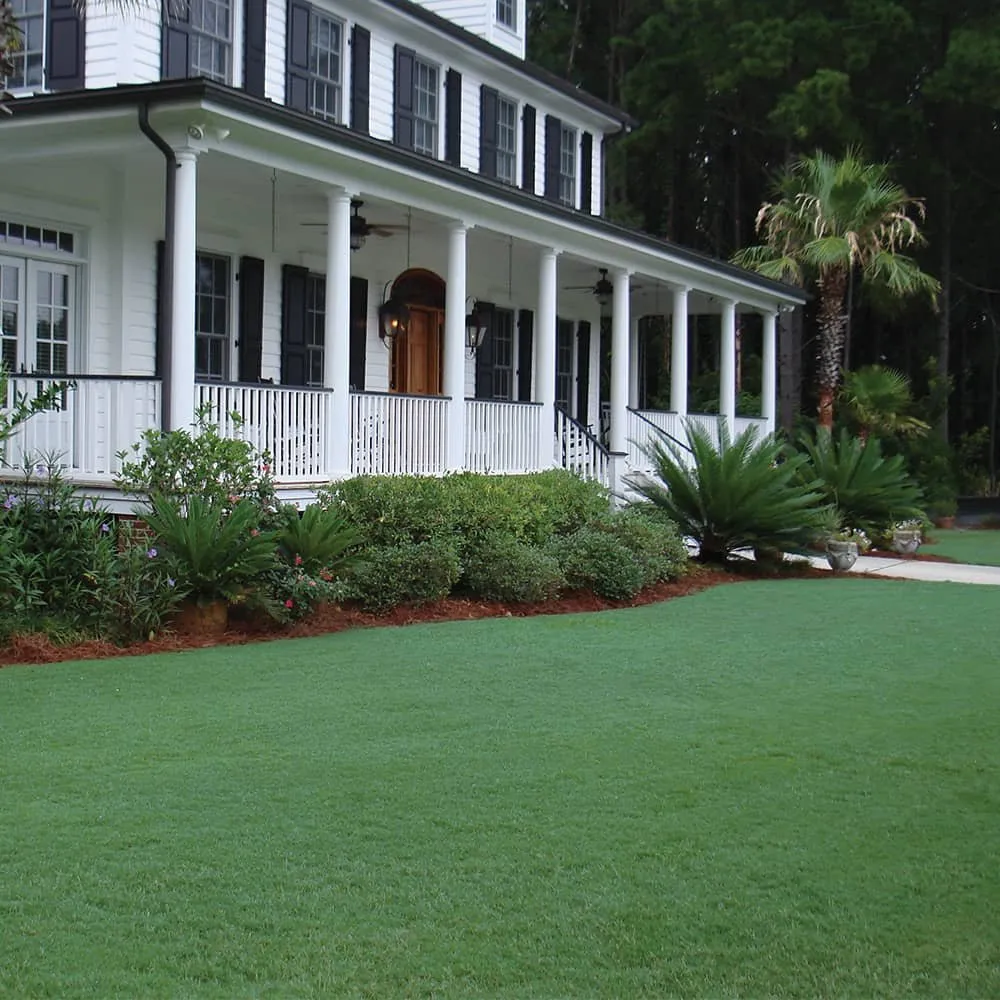 Trusted yard cleanup service in Brooks, GA by Luxe Turf Services