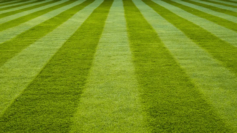 Reliable lawn mowing service near you in Brooks, GA by Luxe Turf Services