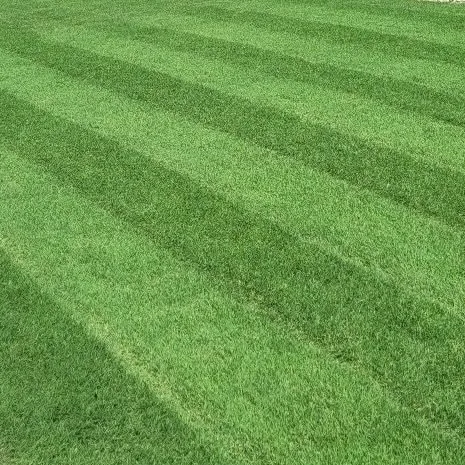 Local landscaping services experts serving Brooks, GA - Luxe Turf Services