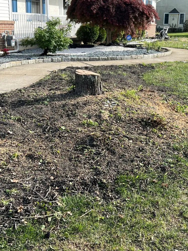 Affordable residential landscaping experts serving Lumberton Township, NJ - LuxeForm Projects