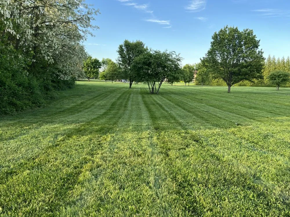 Reliable landscape installation in Lumberton Township, NJ by LuxeForm Projects