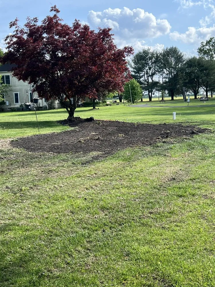 Custom yard cleanup service experts serving Lumberton Township, NJ - LuxeForm Projects