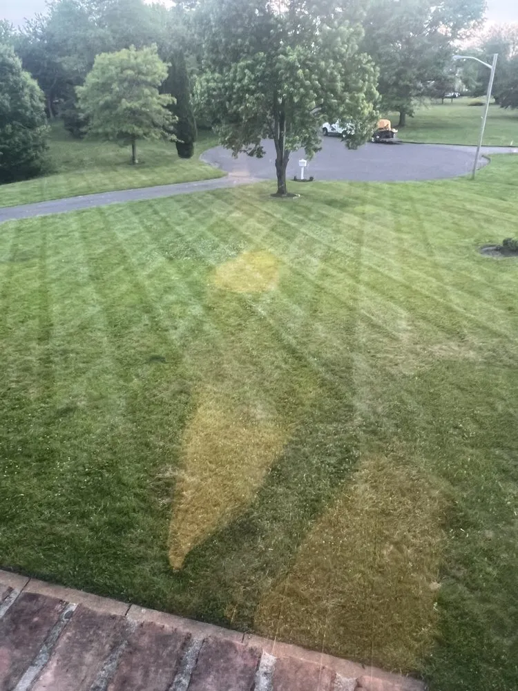 Expert residential landscaping with custom design in Lumberton Township, NJ by LuxeForm Projects