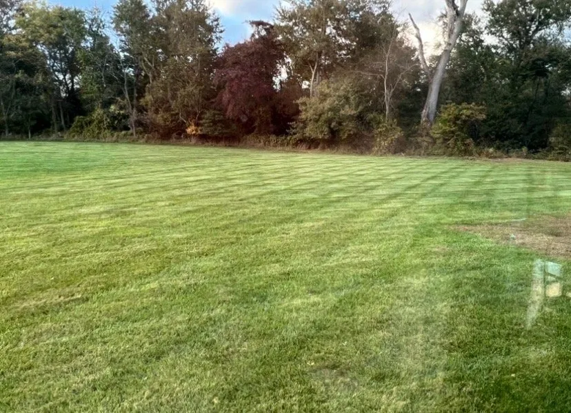 Reliable landscape installation in Lumberton Township, NJ - LuxeForm Projects