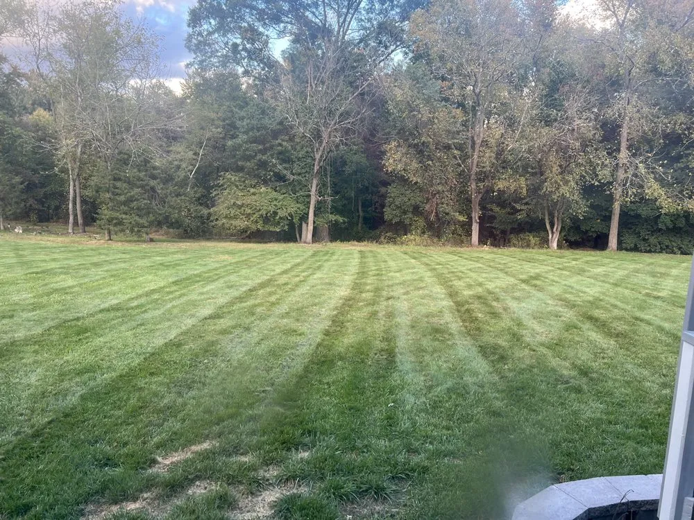Reliable outdoor landscaping for year-round maintenance in Lumberton Township, NJ by LuxeForm Projects