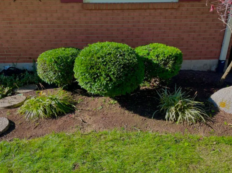 Professional landscaping services in Kettering, OH - Luxen Lawn And Landscaping