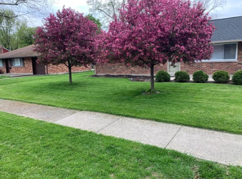Local outdoor landscaping for year-round maintenance across Kettering, OH - Luxen Lawn And Landscaping