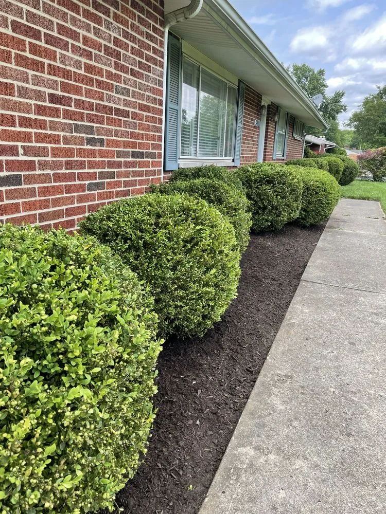 Reliable yard cleanup service for outdoor upgrades across Kettering, OH - Luxen Lawn And Landscaping