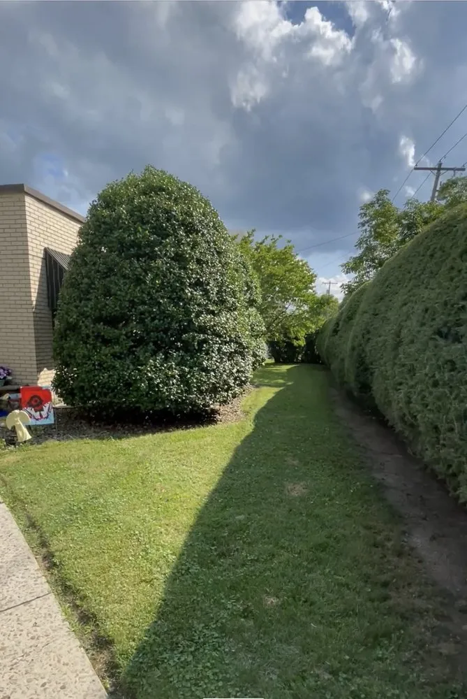 Affordable outdoor landscaping near you across Hopwood, PA - Luxscape Maintenance and Design