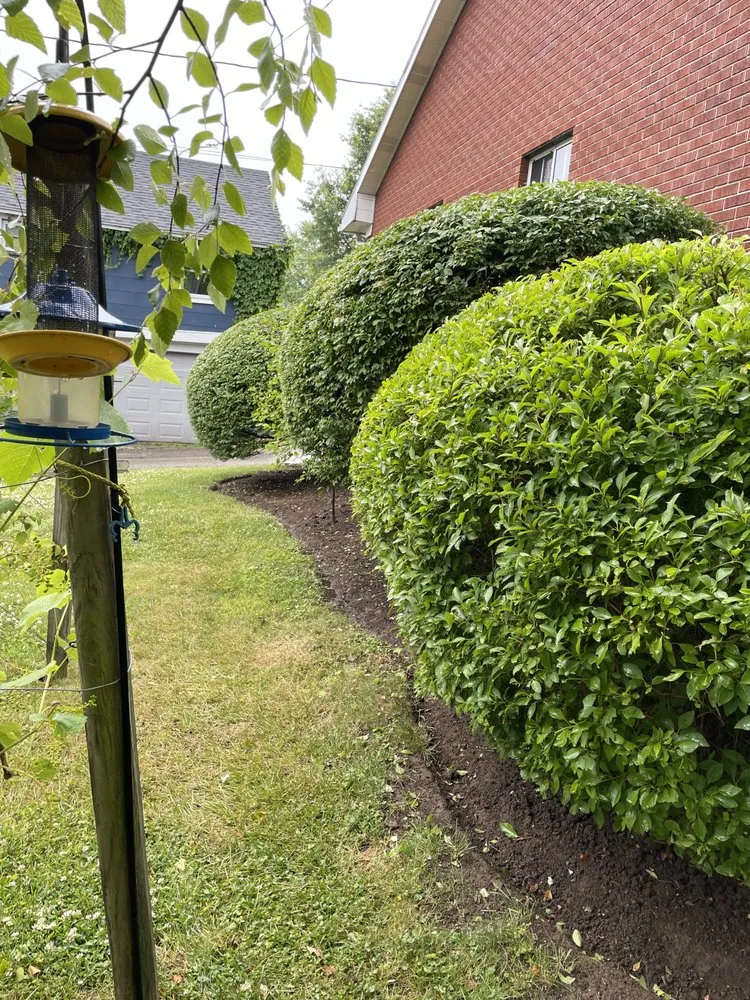 Custom outdoor landscaping in Hopwood, PA by Luxscape Maintenance and Design