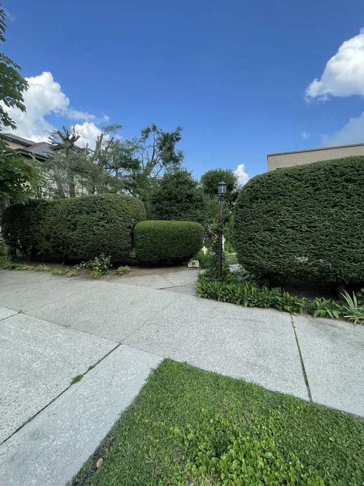 Reliable yard cleanup service for year-round maintenance in Hopwood, PA by Luxscape Maintenance and Design